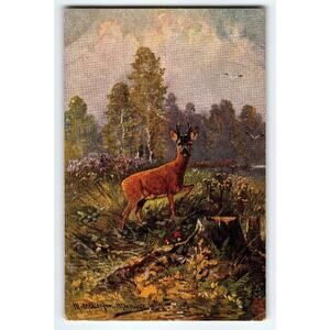 Muller Jr. Artist Signed Deer Hunting Scene Vintage Postcard